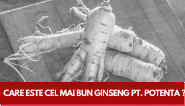 Care este cel mai bun Ginseng pentru Potență ?